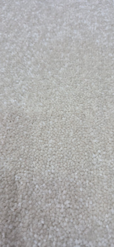 رویال/صدفی۵۱۱۳