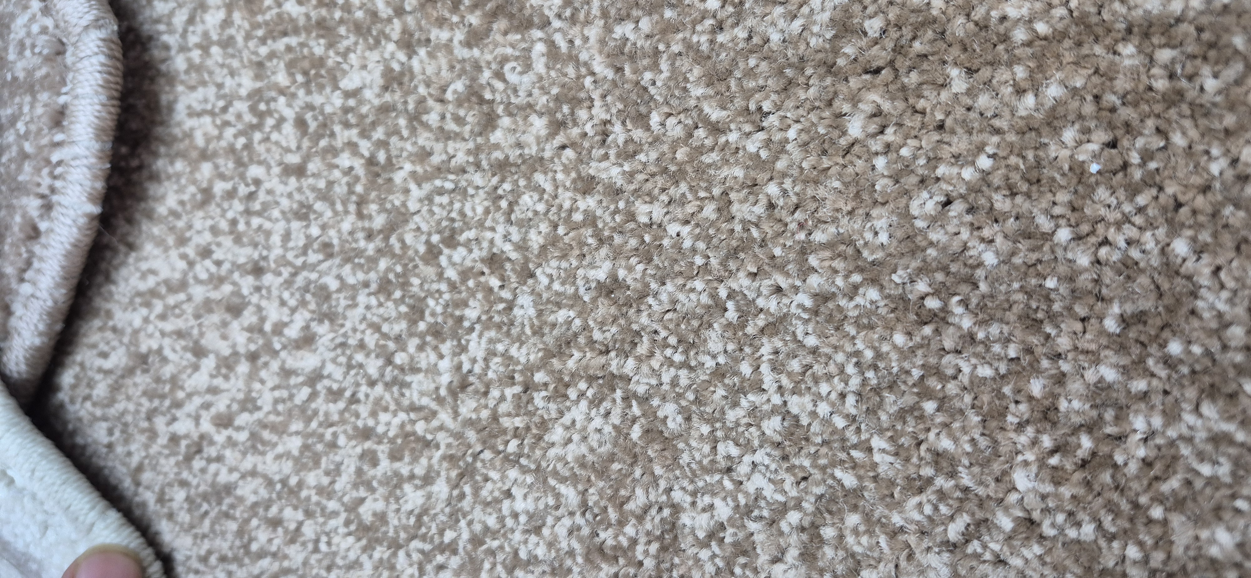 رویال/ شکلاتی۵۱۲۱