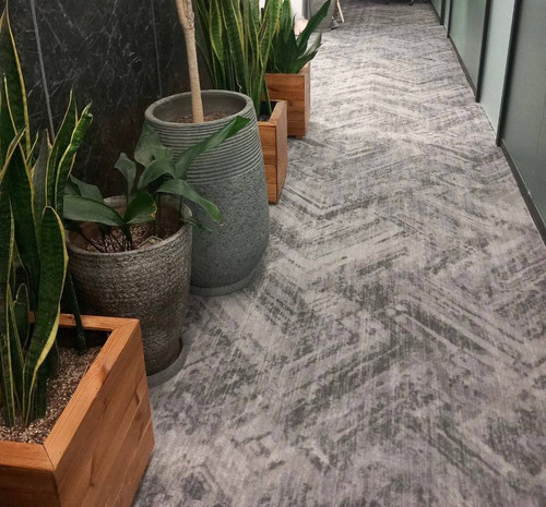 موکت سپیدار